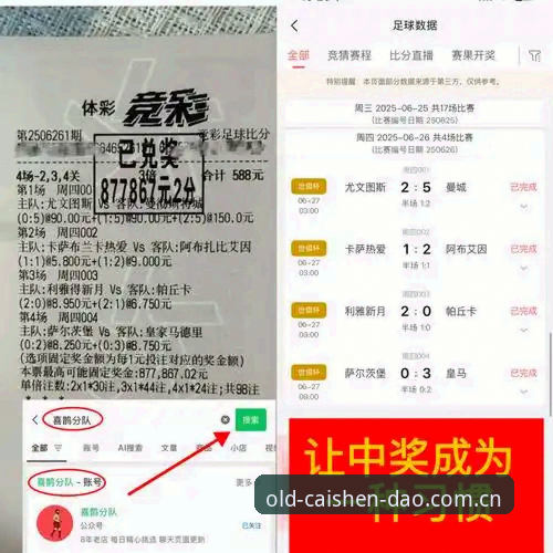 深入了解都灵德比：球迷必备观赛知识与平台体验实用指南